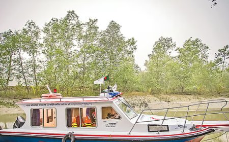 আইডিএলসির কার্যক্রম শুধু মুনাফার মধ্যে সীমাবদ্ধ নয়